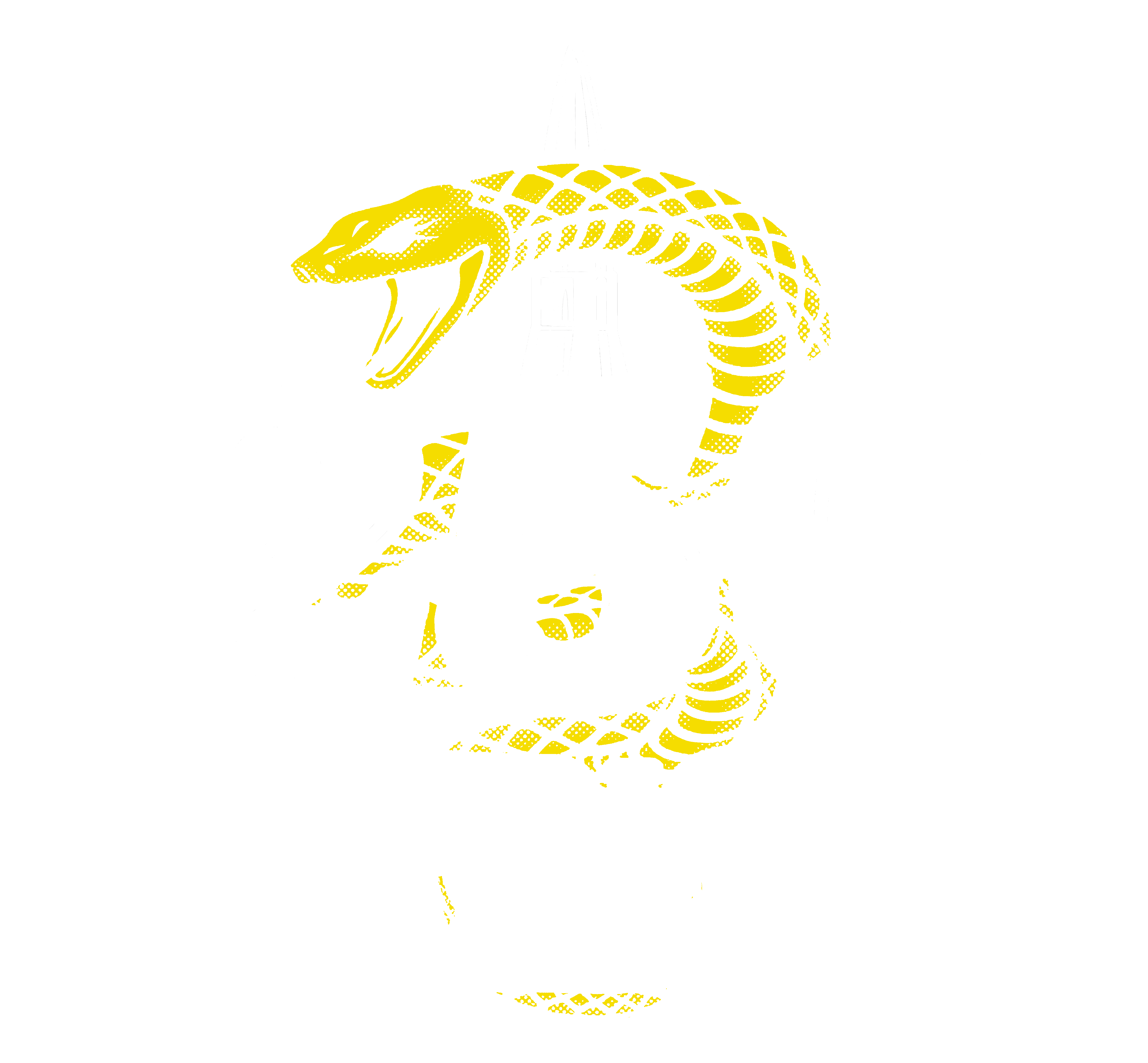 American Warrior 250